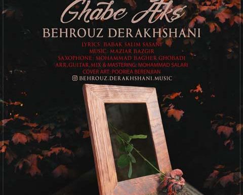 عکس امیرمحمد نودهی