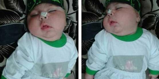 عکس امیر عباس کچلیک