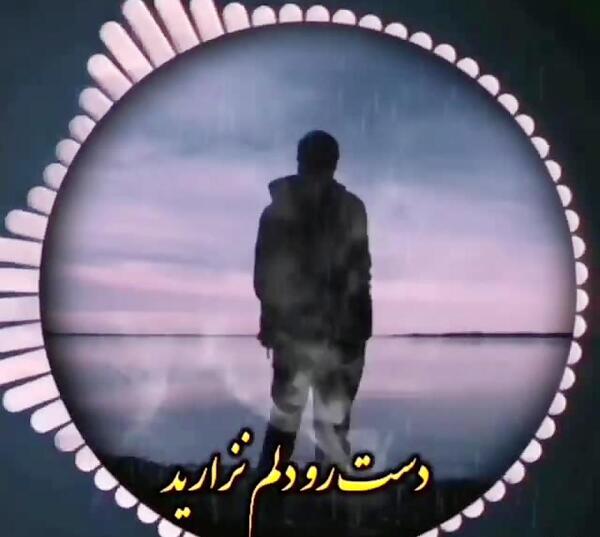 عکس امیر قزوینی