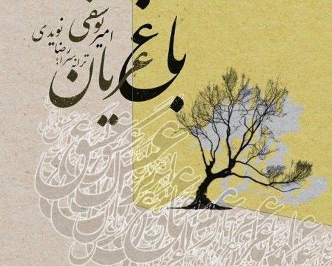 عکس امیر یوسفی