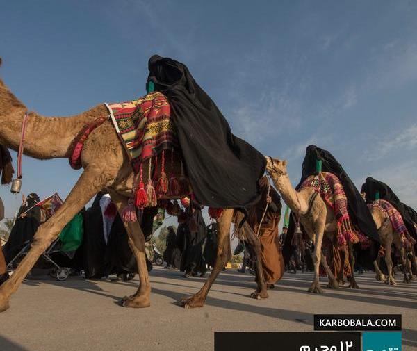 عکس ورود اسرا به کوفه