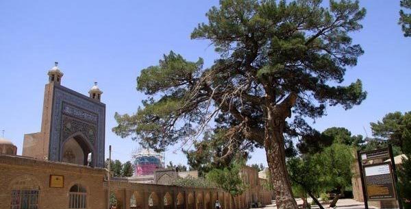 عکس احمد جام