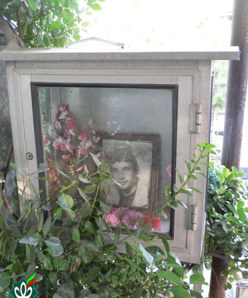 عکس احسان قادری