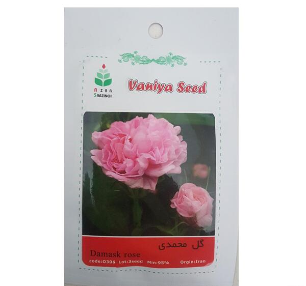 عکس امین گل محمدی