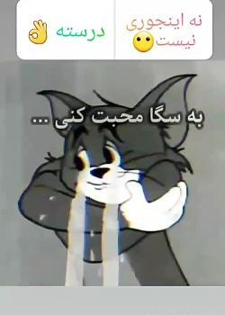 عکس امین لویال