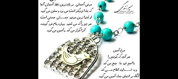 عکس مرغ آمین واقعی