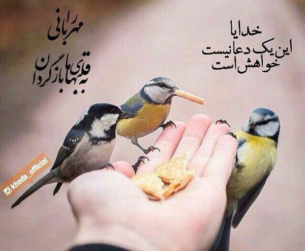 عکس آرزوی آرامش