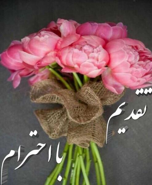 عکس گل آرزو