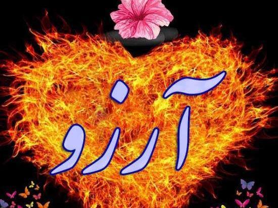 عکس گل آرزو ها