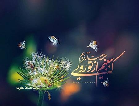 عکس گل آرزو ها