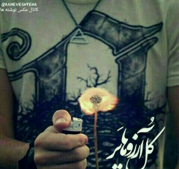 عکس گل آرزو ها