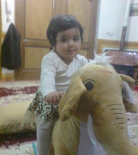 عکس بابا فیل