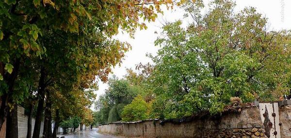 عکس باران آتلیه