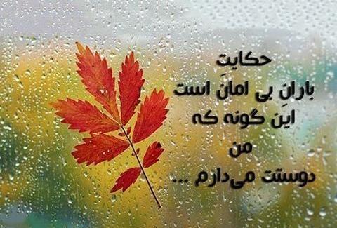 عکس باران پاییزی جدید