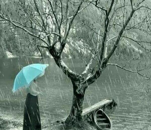 عکس باران رویایی