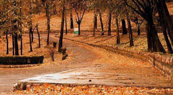 عکس باران قزوین