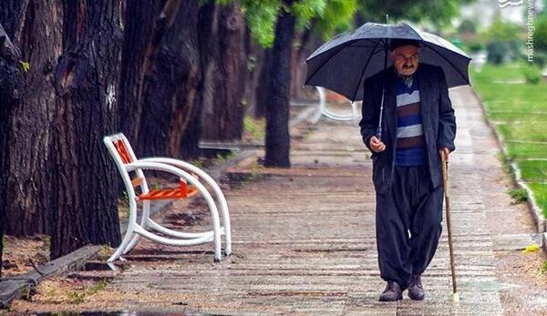 عکس باران قزوین