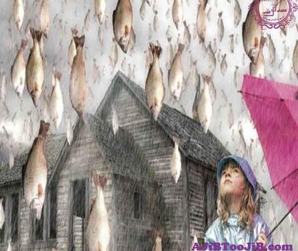 عکس باران ماهی در هندوراس