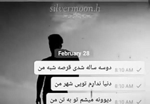 عکس گوشی بهزاد لیتو