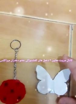 عکس پروانه آکوما