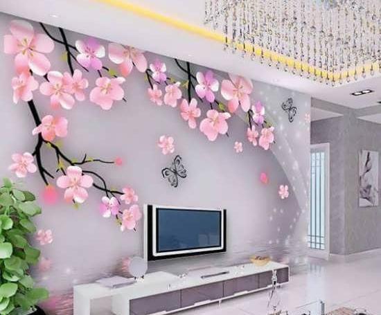 عکس پروانه پشت تلویزیون