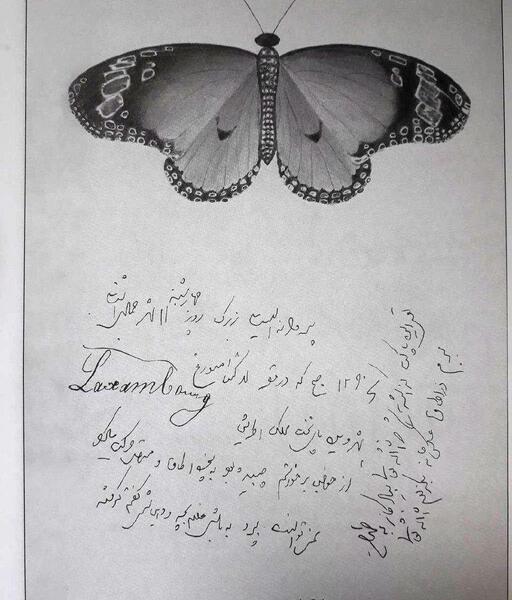 عکس پروانه ثابت