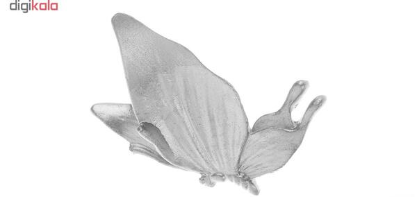 عکس پروانه طوسی