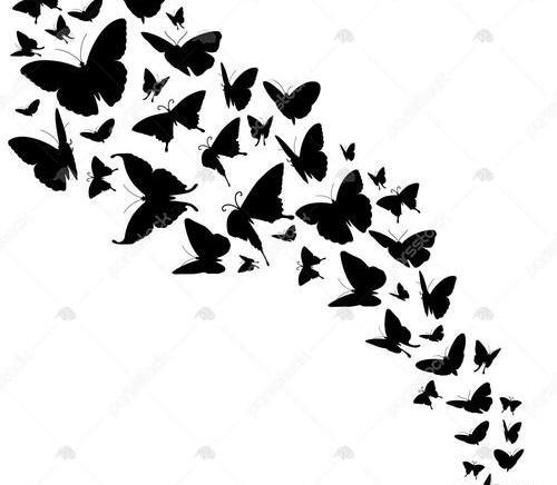 عکس پروانه طراحی