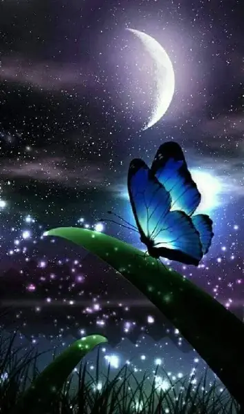عکس پروانه فانتزی برای پروفایل