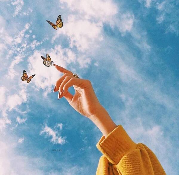 عکس پروانه فانتزی برای پروفایل