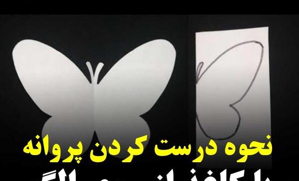 عکس پروانه مقوایی