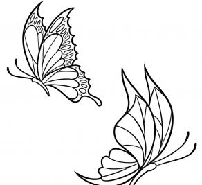 عکس پروانه نقاشی زیبا