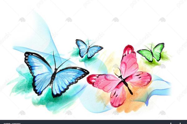 عکس پروانه نقاشی زیبا