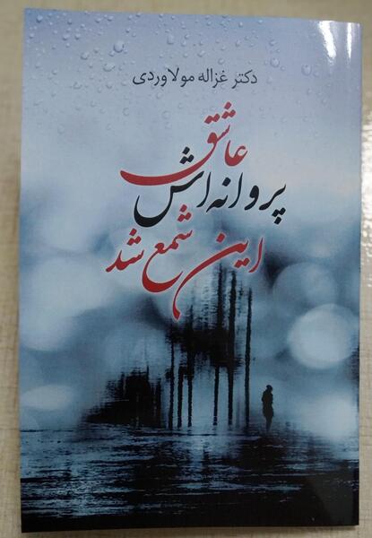 عکس پروانه و کتاب
