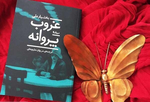 عکس پروانه و کتاب