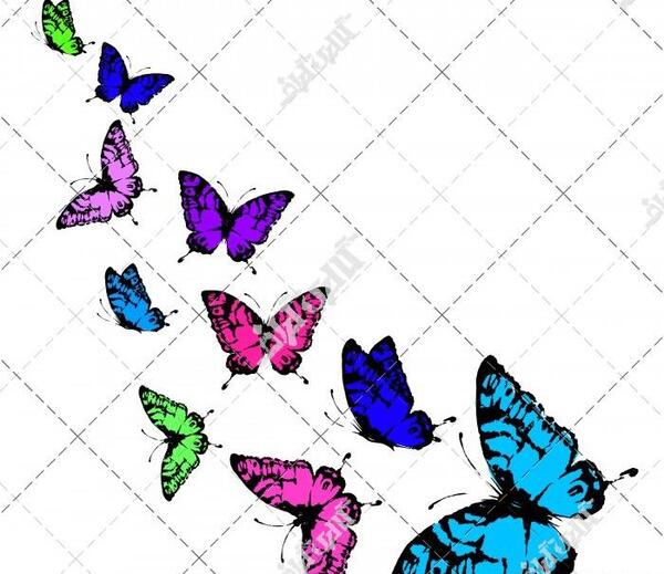 عکس پروانه های رنگارنگ
