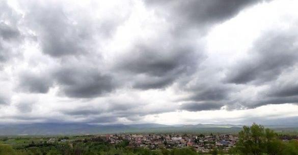 عکس پیمان لطفی