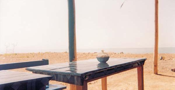 عکس پویا توکلی