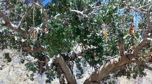 عکس چشمه پریا