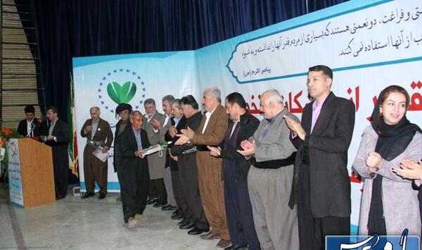 عکس دکتر تبسم وحیدی
