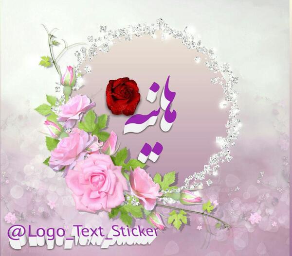 عکس گل هانیه