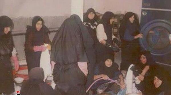 عکس دکتر تکتم رشید کردستانی