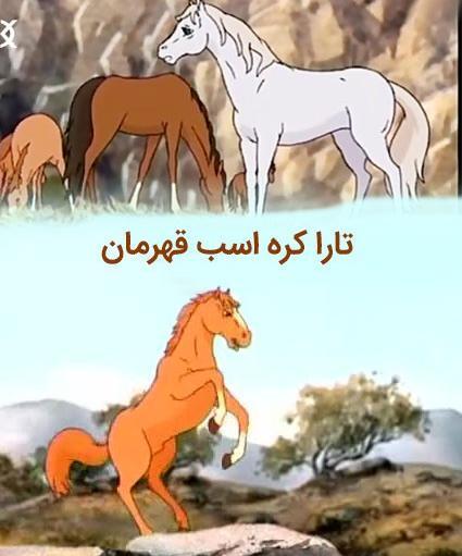 عکسهای تارا کره اسب قهرمان