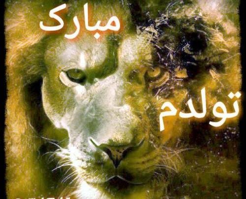 عکس تولدم مبارک شیر