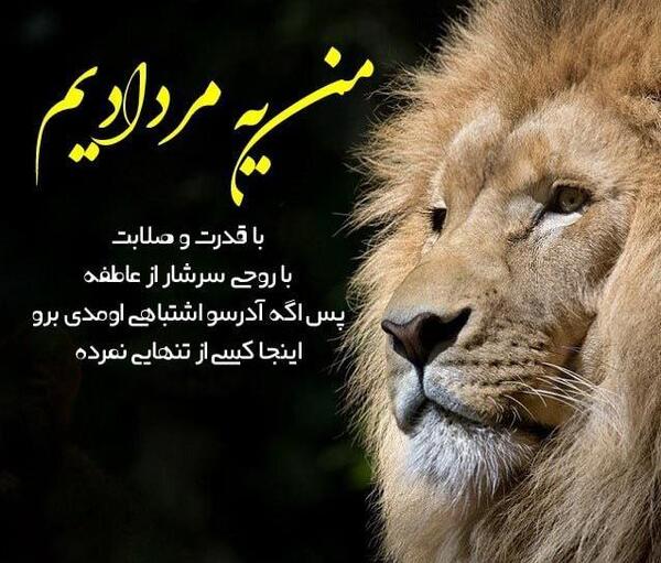 عکس تولدم مبارک شیر