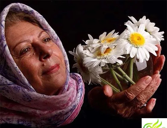 عکس ثریا قاسمی و لعیا زنگنه