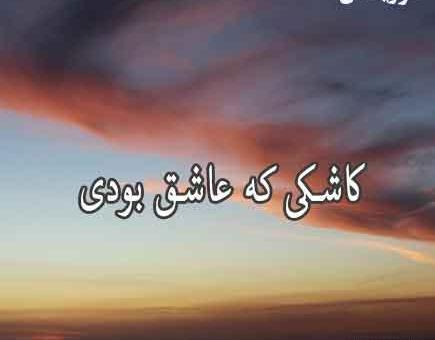 عکس جواد شیرو