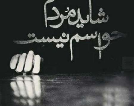عکس جواد شیرو