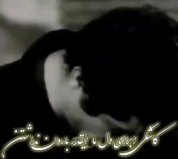 عکس جواد شیرو