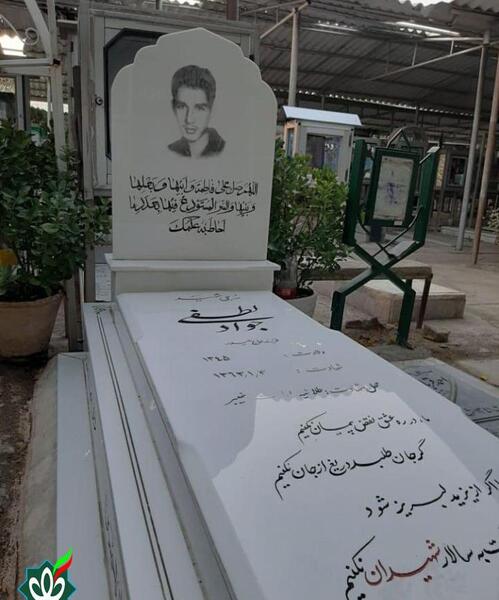 عکس جواد لطفی